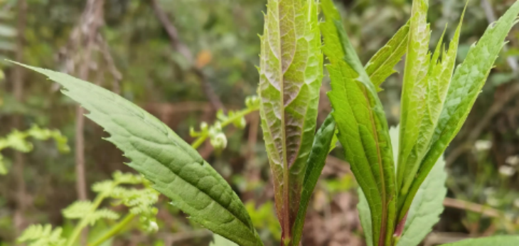 南宫娱乐·NG28(中国)官方网站