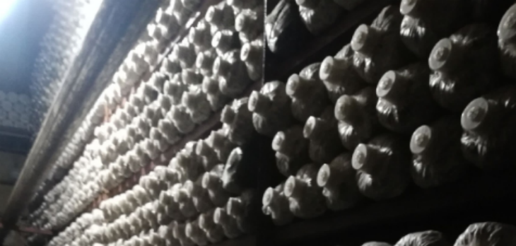 南宫娱乐·NG28(中国)官方网站