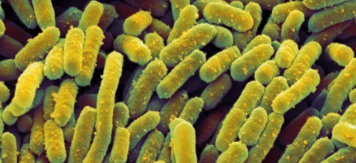 南宫娱乐·NG28(中国)官方网站