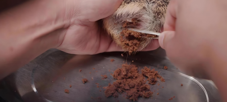 南宫娱乐·NG28(中国)官方网站