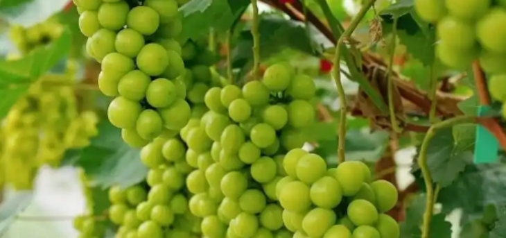 南宫娱乐·NG28(中国)官方网站