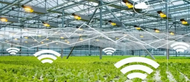 南宫娱乐·NG28(中国)官方网站