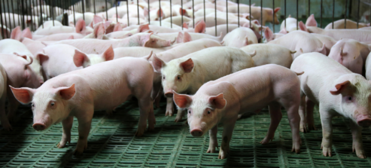 南宫娱乐·NG28(中国)官方网站