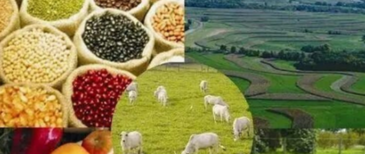 南宫娱乐·NG28(中国)官方网站