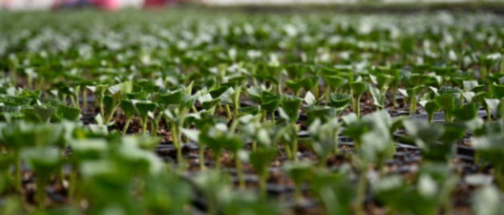 南宫娱乐·NG28(中国)官方网站